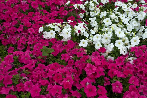 Quelles sont les nouvelles tendances en matière de mobilier durable ?