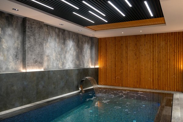 Faites Attention à Ces Erreurs Fréquentes en Taillant Vos Arbustes